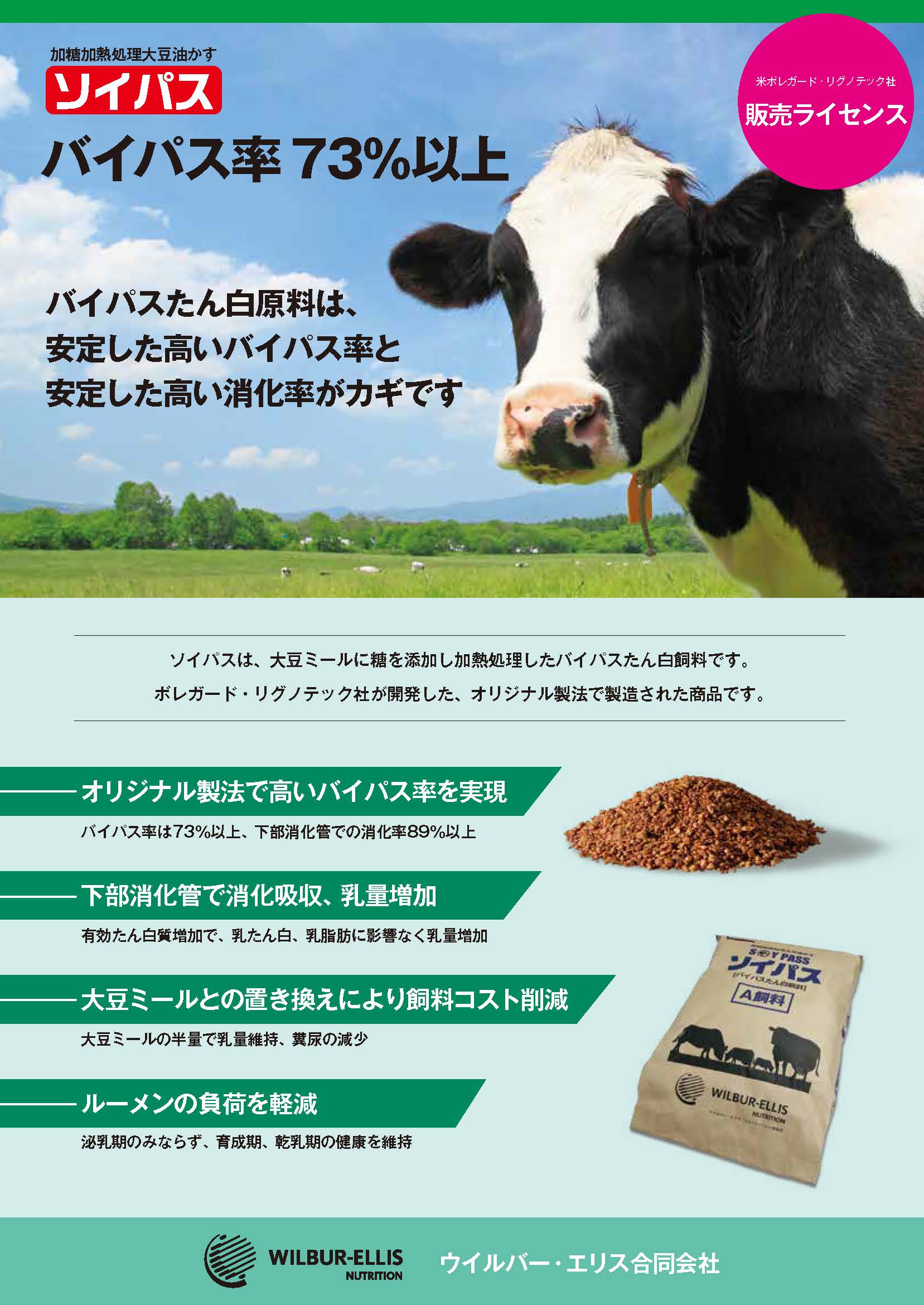 リーフレットサンプル